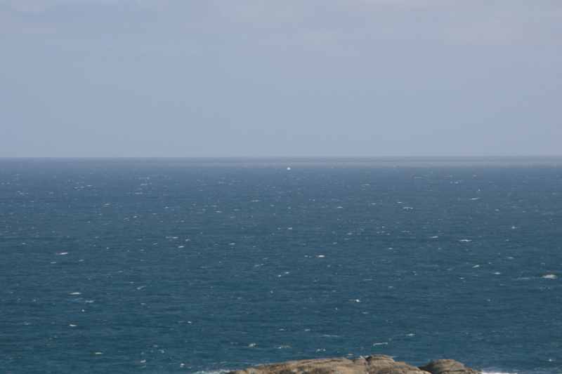 Nieuw-Zeeland 2011 - 1123